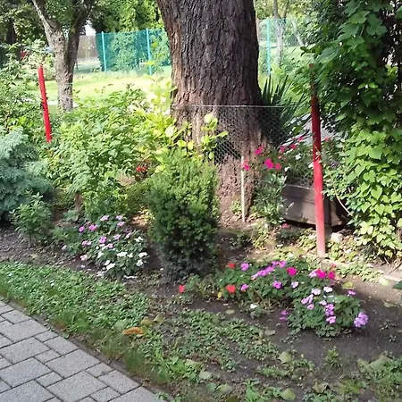 Homes In - Balaton 18356 *