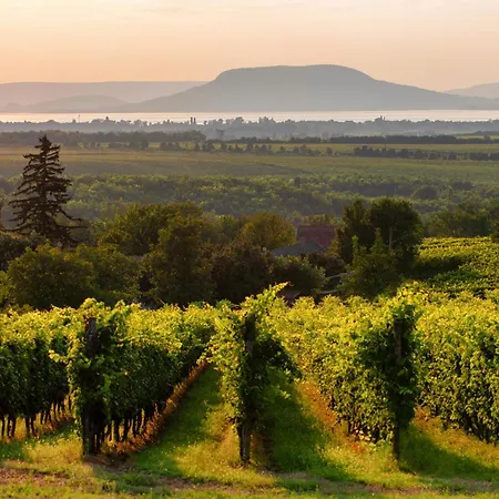 Homes In - Balaton 18356 *