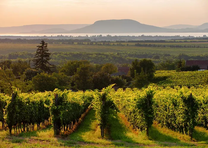 Homes In - Balaton 18356 *